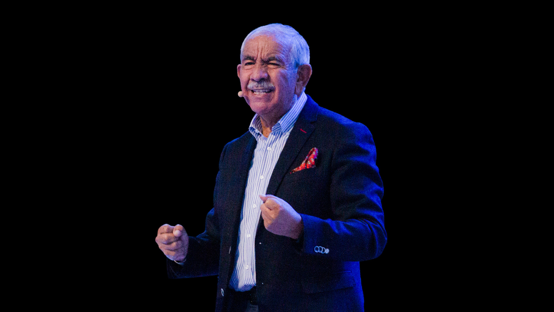 El amado labrador